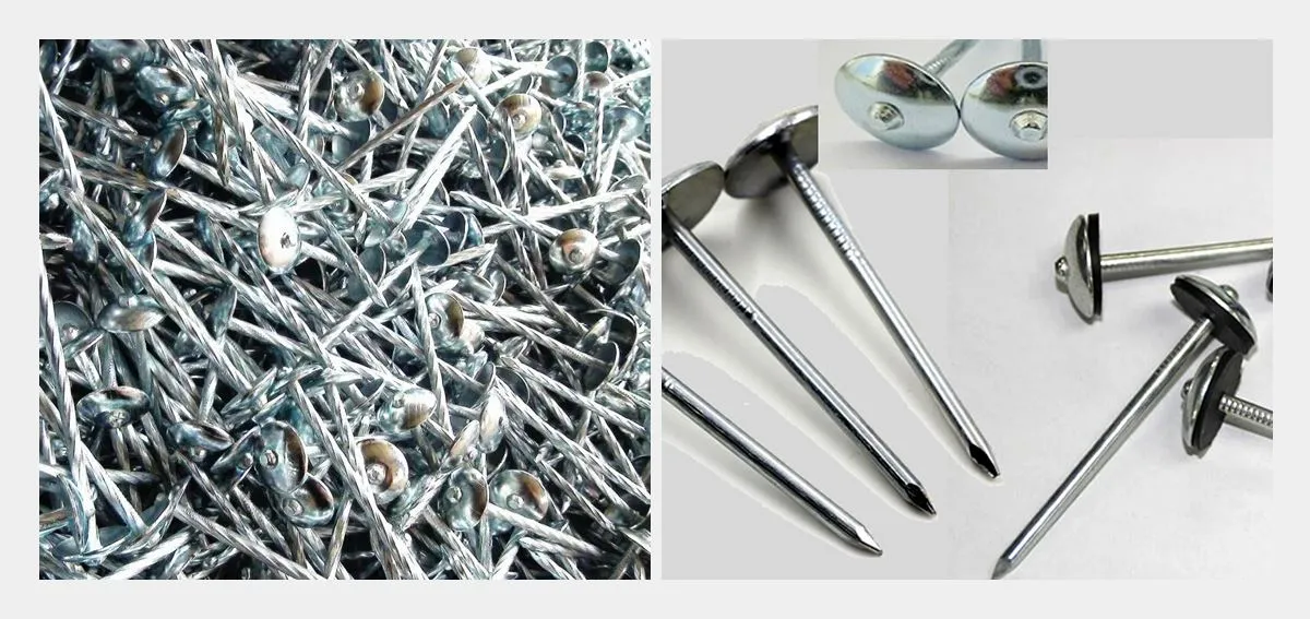 Galvanized-Roofing-Nails-With-Umbrella-Head--hbsinostar 2 Galvanized-Roofing-Nails-With-Umbrella-Head--hbsinostar 2