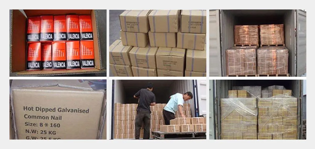 Galvanized-Roofing-Nails-With-Umbrella-Head--hbsinostar 4 Galvanized-Roofing-Nails-With-Umbrella-Head--hbsinostar 4