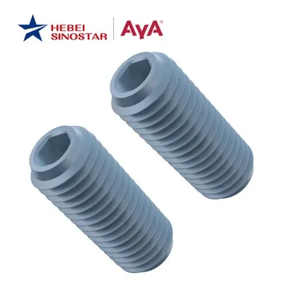 Punta de copa de tornillo de fijación hexagonal