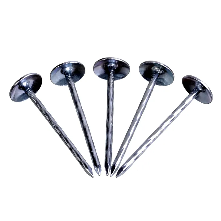 Stainless Steel Roofing Nails